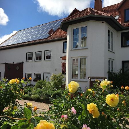 Gallowayhof Am Edersee Vöhl المظهر الخارجي الصورة